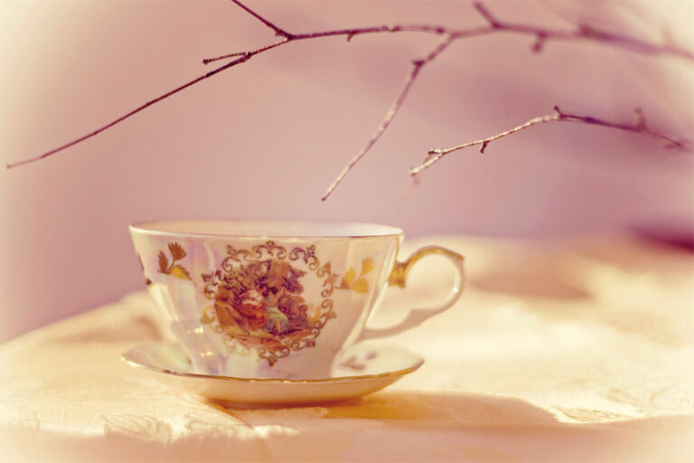 Nuus uit ons Gemeente -Sondag 7 November 2021