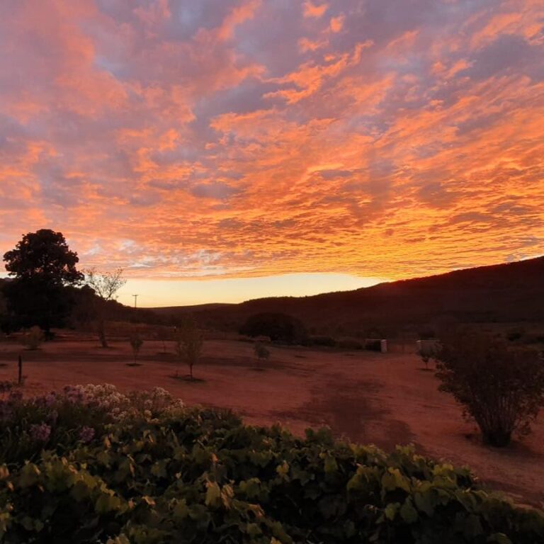 Nuusbrief – 26 Januarie 2020