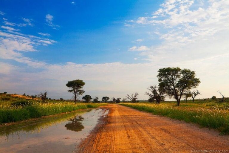 Nuusbrief – 22 Februarie 2020