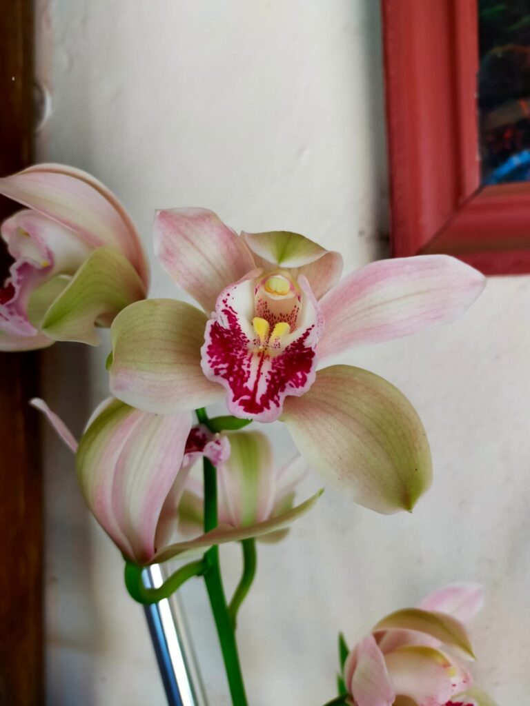 Nuus uit ons Gemeente – Sondag 21 November 2021