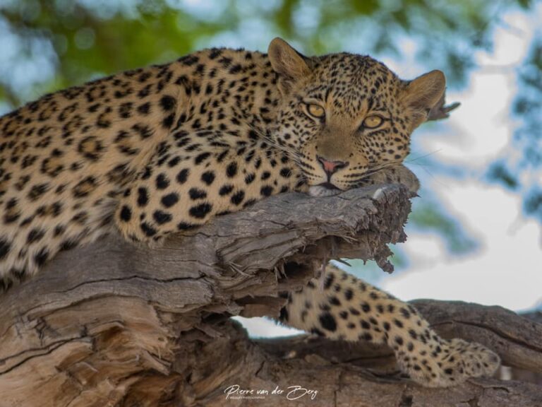 Ons Nuusbrief – 11 Januarie 2026