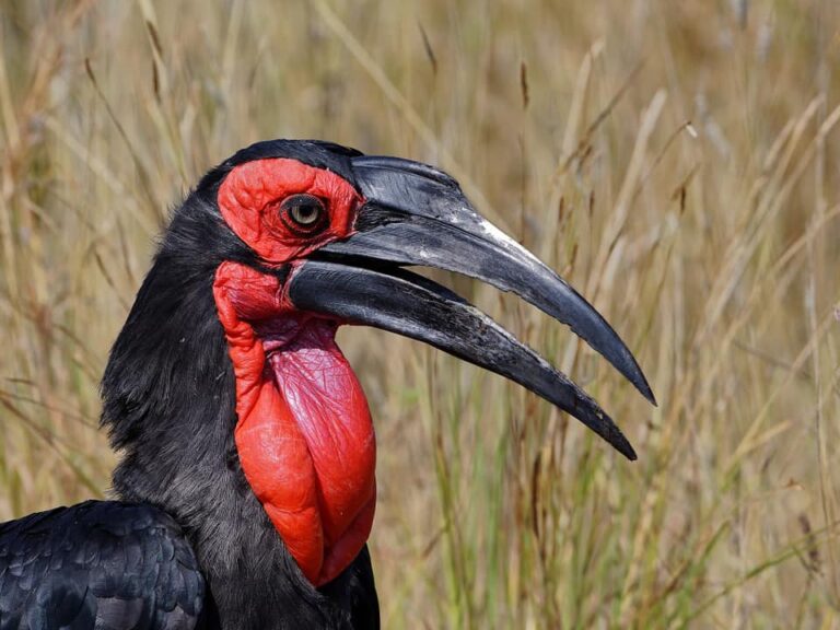 Ons Nuusbrief – 21 Desember 2025