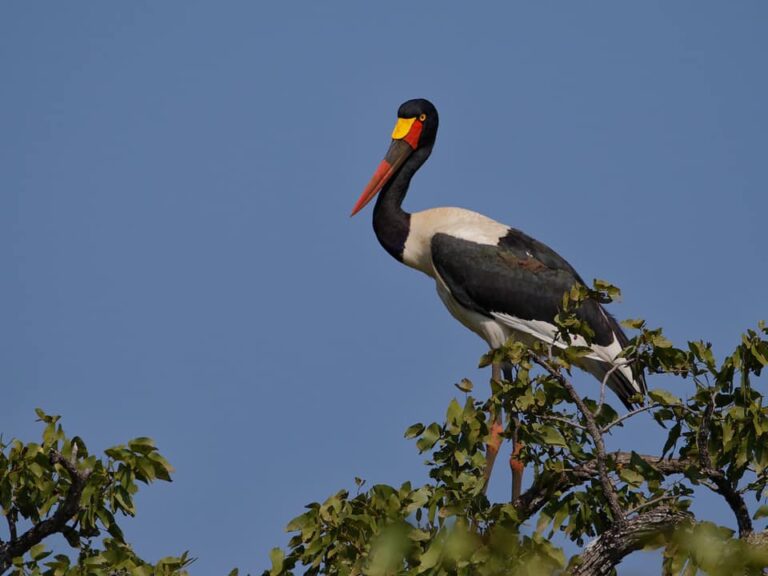 Ons Nuusbrief – 4 Januarie 2026