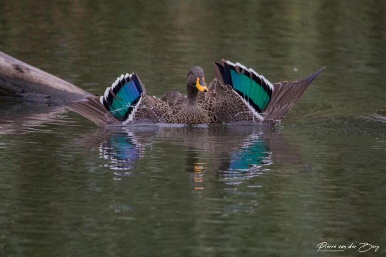 Ons Nuusbrief – 22 Februarie 2026