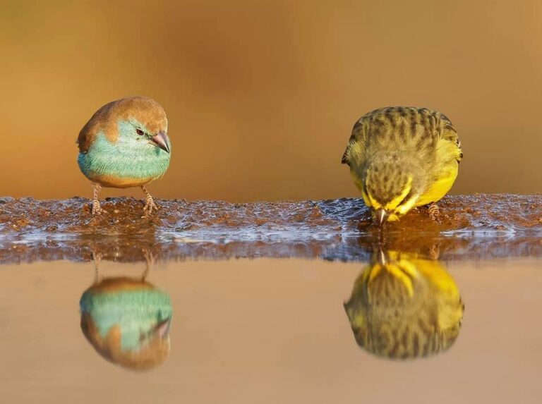 Ons Nuusbrief – 15 Maart 2026