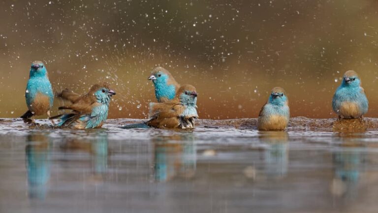 Ons Nuusbrief – 22 Maart 2026