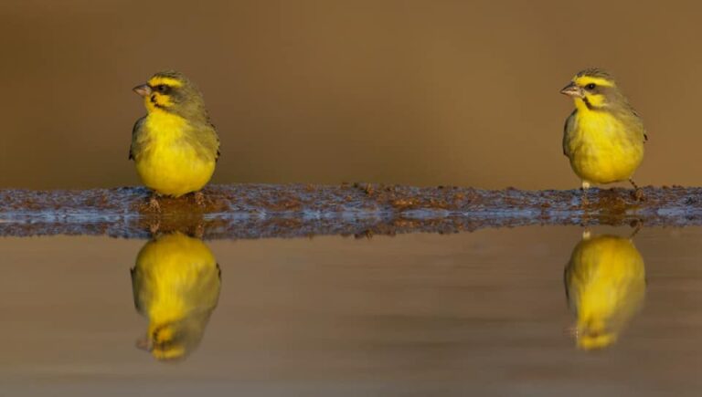 Ons Nuusbrief – 26 April 2026