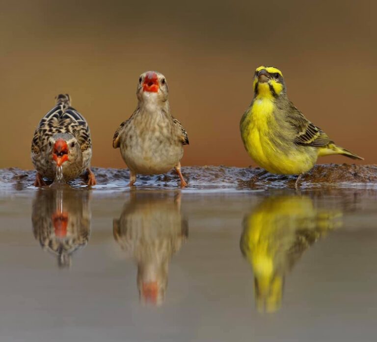 Ons Nuusbrief – 11 April 2026