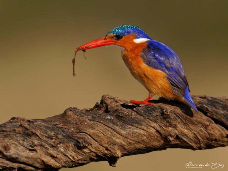 Ons Nuusbrief – 19 April 2026