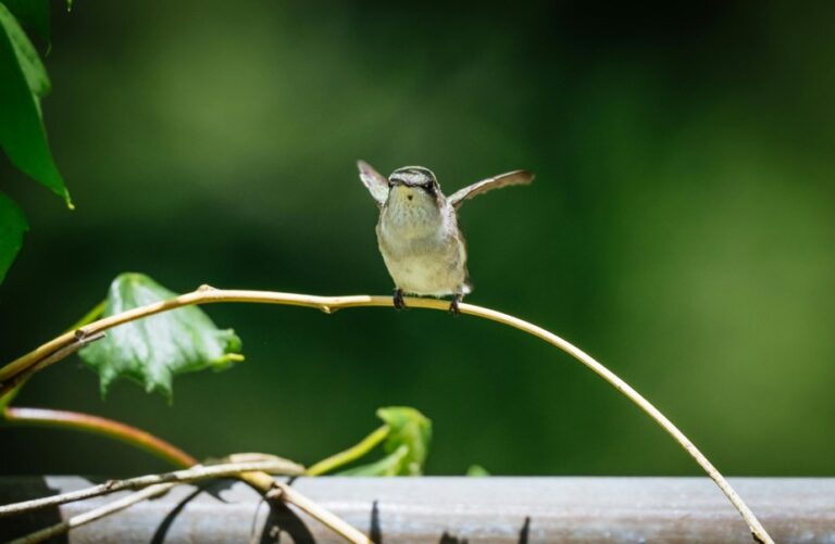 12 April 2026 Erediens Ds Kobus Botha